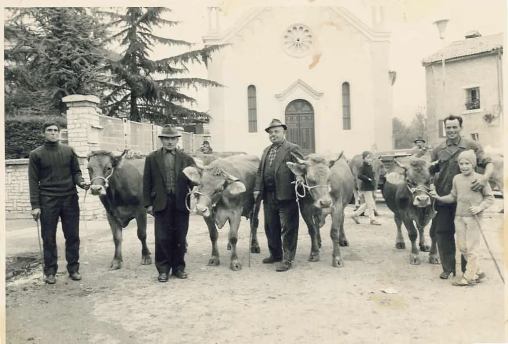 Allevatori con le loro vacche alla fiera del bestiame del 1969, davanti alla chiesa