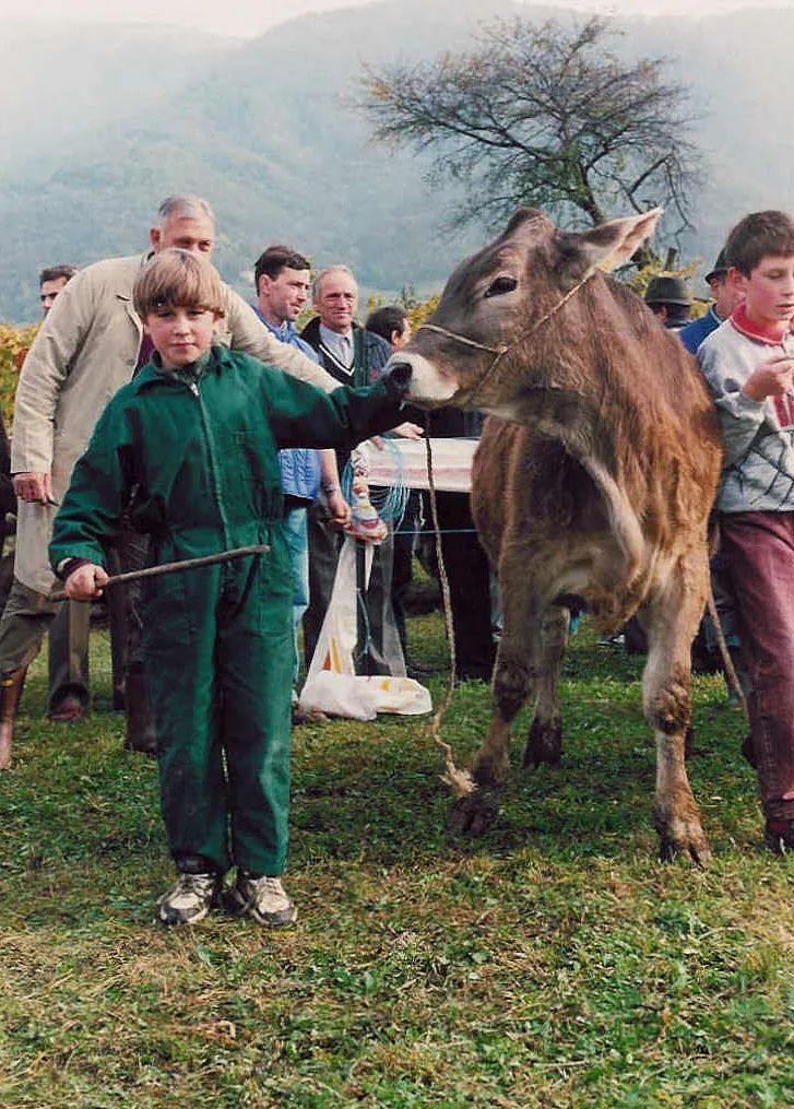 Un giovane Stramare con una vacca bruna alla fiera del bestiame, 1996