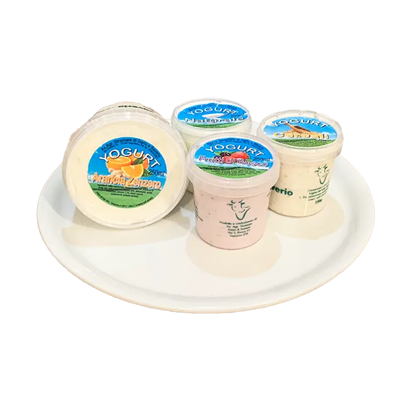 Vasetti di yogurt artigianale Stramare in vari gusti